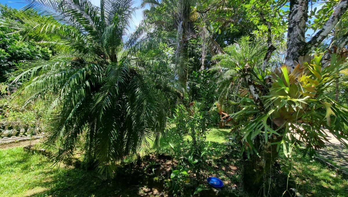 IMG-20250211-WA0004