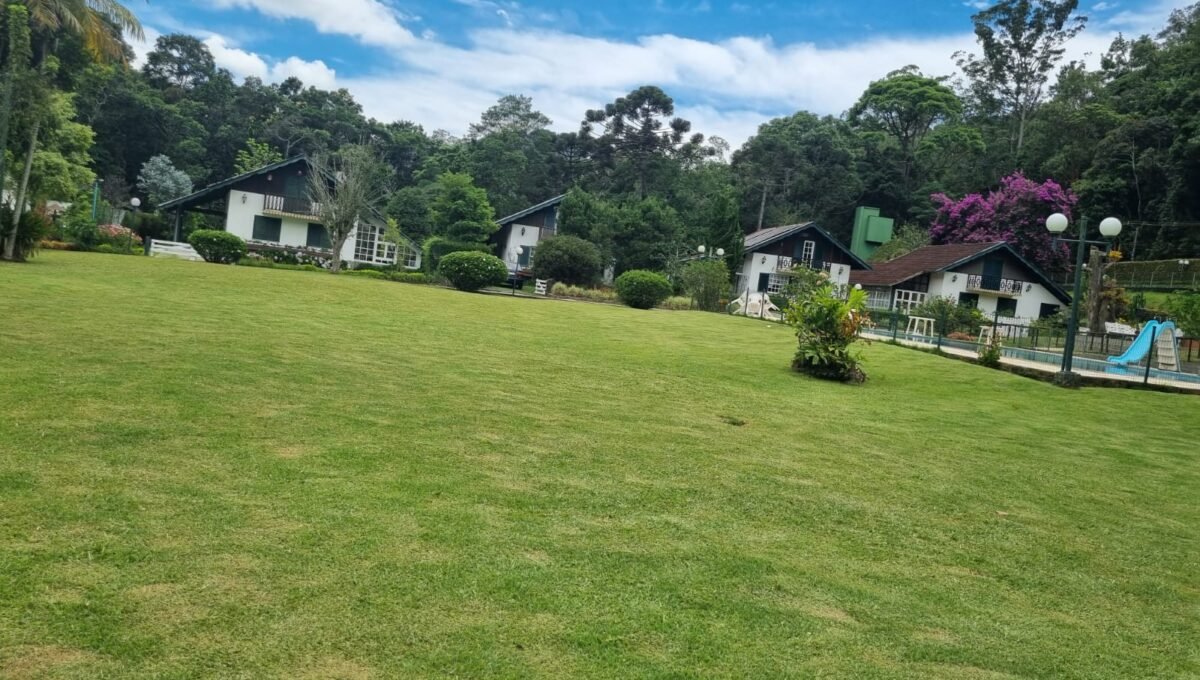 WhatsApp Image 2026-01-09 at 10.40.41