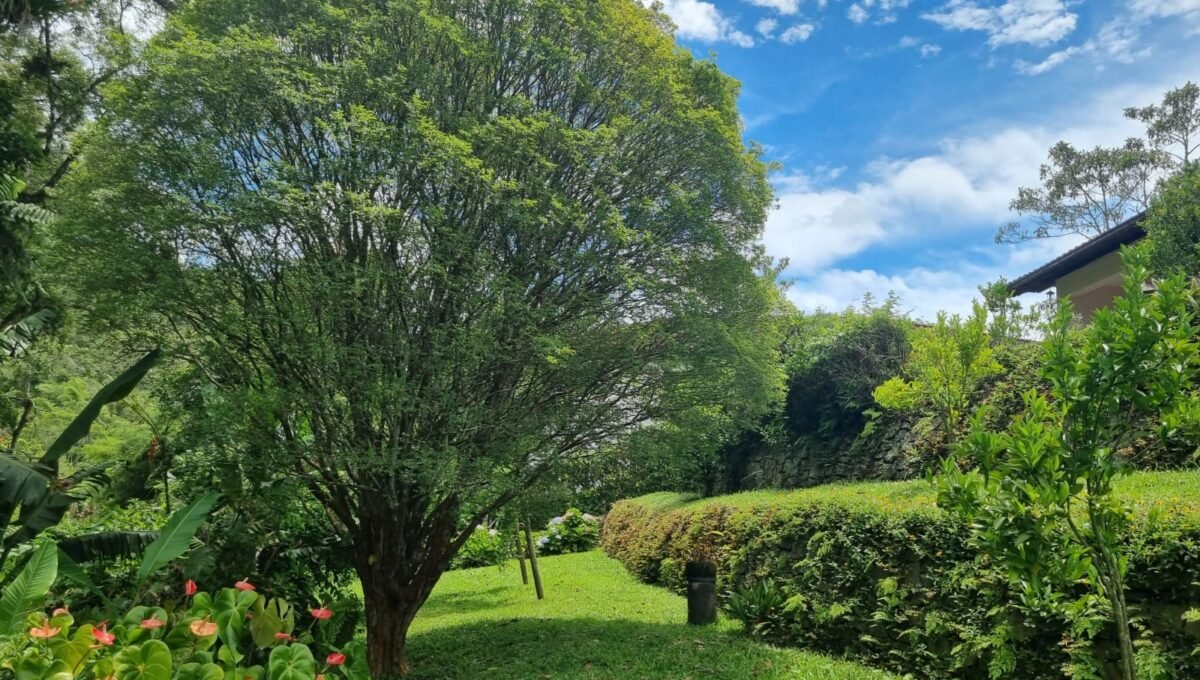 WhatsApp Image 2026-01-09 at 10.41.26