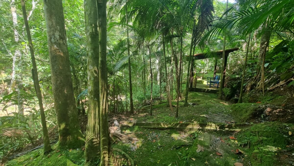 WhatsApp Image 2026-03-20 at 08.22.56