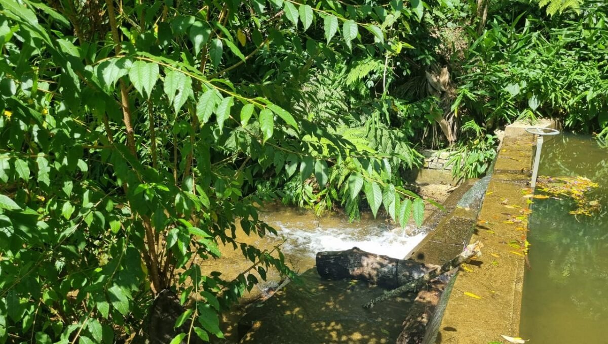 WhatsApp Image 2026-03-20 at 08.22.57 (1)