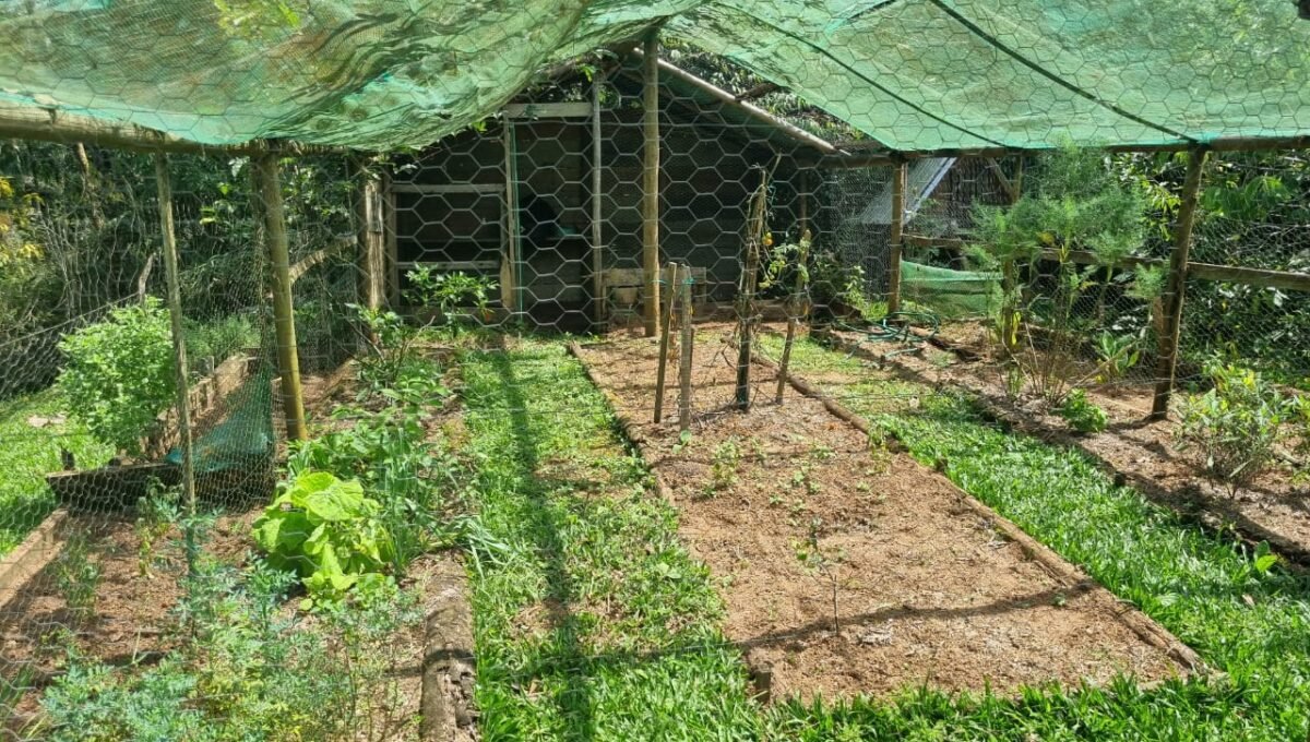 WhatsApp Image 2026-03-20 at 08.22.57 (2)