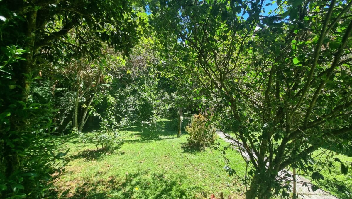 WhatsApp Image 2026-04-16 at 08.16.01