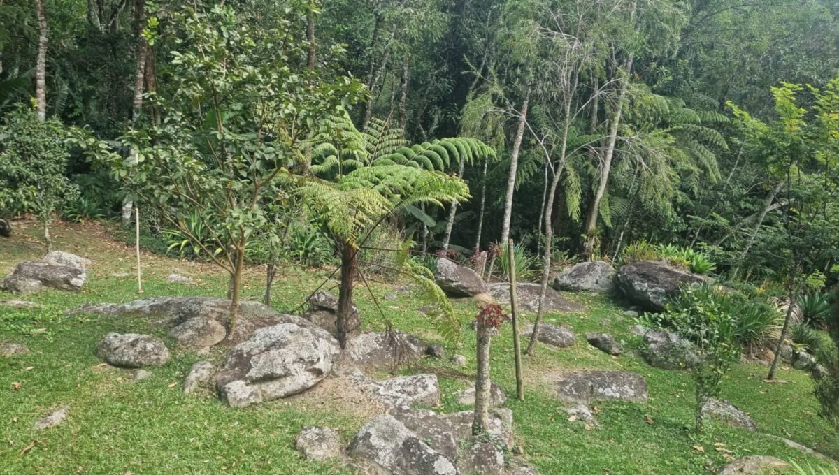 WhatsApp Image 2026-07-27 at 12.12.53