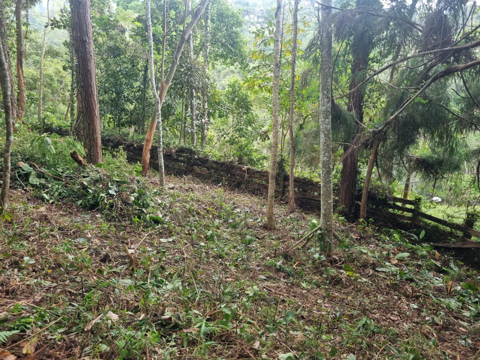 Friburgo-Mury: Aconchegante Condomínio Fechado! lt-13